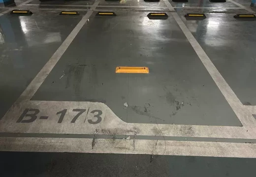 坐落莆田市城廂區(qū)霞林街道團(tuán)結(jié)路1033號(hào)紫闕臺(tái)地下一層173室的房地產(chǎn)