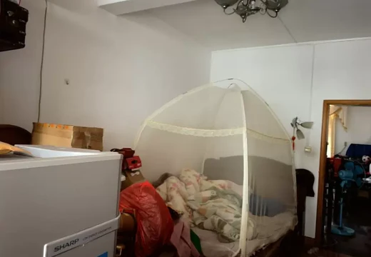 莆田市城廂區(qū)霞林街道溝西街445號育華小區(qū)4號樓2梯603室及柴間的房地產(chǎn)