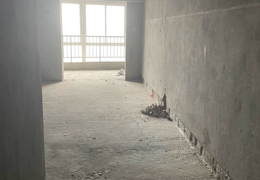 福建省莆田市涵江區(qū)涵華東路2988號(hào)華友廣場(chǎng)4號(hào)樓2305號(hào)