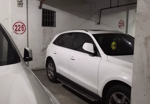 莆田市城廂區(qū)龍橋辦龍橋居委會后山西路84號1#車位226的房地產(chǎn)