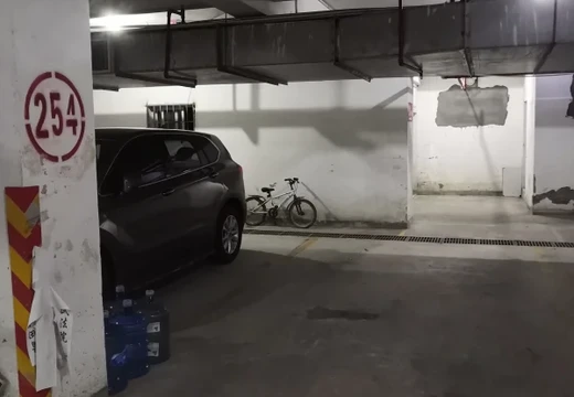 莆田市城廂區(qū)龍橋辦龍橋居委會(huì)后山西路84號(hào)1#車位254的房地產(chǎn)