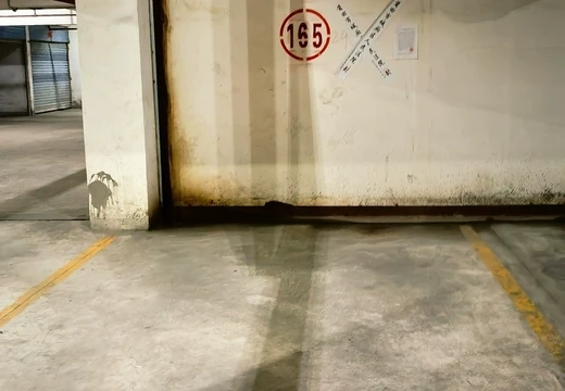 莆田市城廂區(qū)龍橋辦龍橋居委會(huì)后山西路84號(hào)1#車(chē)位165的房地產(chǎn)