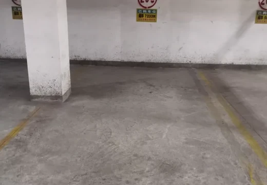 莆田市城廂區(qū)龍橋辦龍橋居委會(huì)后山西路84號(hào)1#車位208的房地產(chǎn)