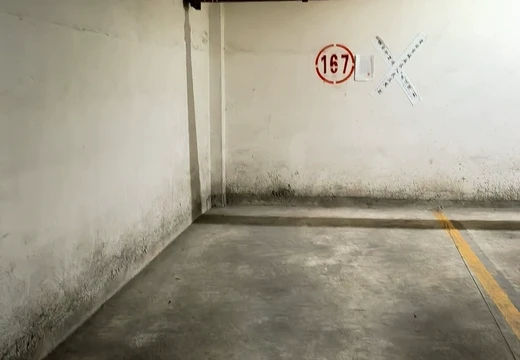 莆田市城廂區(qū)龍橋辦龍橋居委會(huì)后山西路84號1#車位167的房地產(chǎn)