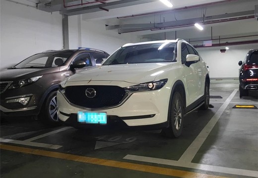 坐落莆田市城廂區(qū)龍橋街道君悅街133號(hào)聯(lián)發(fā)君悅首府9號(hào)樓地下一層409室車位的房地產(chǎn)