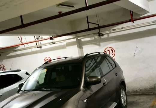 莆田市城廂區(qū)龍橋辦龍橋居委會后山西路84號1#車位173的房地產(chǎn)