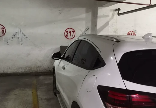 莆田市城廂區(qū)龍橋辦龍橋居委會(huì)后山西路84號(hào)1#車(chē)位217的房地產(chǎn)