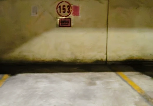 莆田市城廂區(qū)龍橋辦龍橋居委會(huì)后山西路84號(hào)1#車位153的房地產(chǎn)