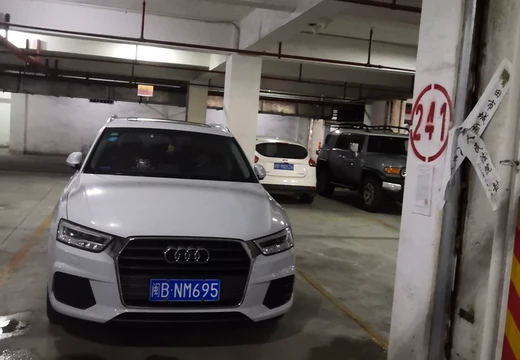 莆田市城廂區(qū)龍橋辦龍橋居委會(huì)后山西路84號1#車位241的房地產(chǎn)