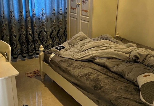 福建省莆田市仙游縣鯉城街道北寶峰社區(qū)居委會紫檀南街2788號9號樓3104室