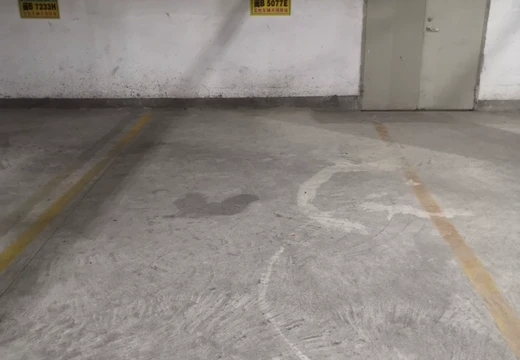 莆田市城廂區(qū)龍橋辦龍橋居委會(huì)后山西路84號(hào)1#車(chē)位207的房地產(chǎn)