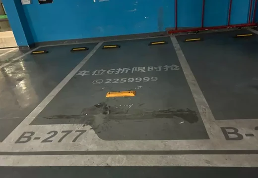 坐落莆田市城廂區(qū)霞林街道團(tuán)結(jié)路1033號(hào)紫闕臺(tái)地下一層277室的房地產(chǎn)