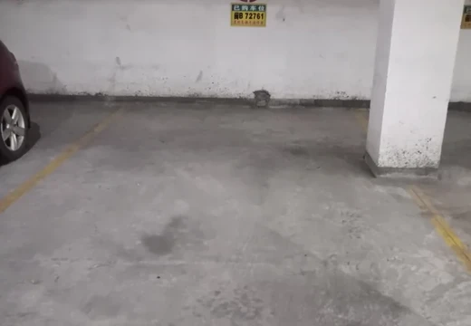 莆田市城廂區(qū)龍橋辦龍橋居委會(huì)后山西路84號1#車位209的房地產(chǎn)