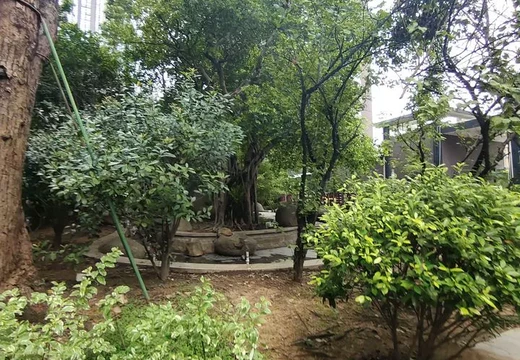 坐落坐落莆田市城廂區(qū)霞林街道黃頂路388號日出東方5號樓2梯404室的房地產(chǎn)