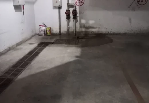 莆田市城廂區(qū)龍橋辦龍橋居委會(huì)后山西路84號(hào)1#車位252的房地產(chǎn)