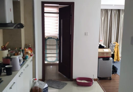 福建省莆田市城廂區(qū)霞林街道荔華東大道8號(hào)莆田萬(wàn)達(dá)廣場(chǎng)3號(hào)樓2513室的房地產(chǎn)