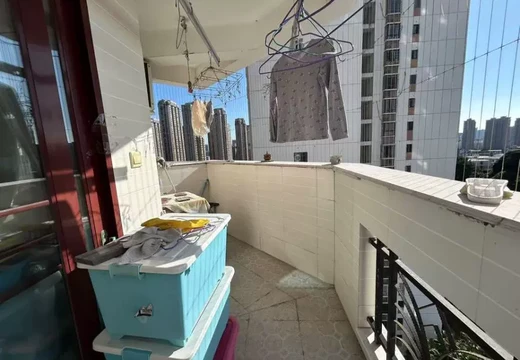 坐落莆田市城廂區(qū)龍橋街道學(xué)園中街2088號1004、1005室的房地產(chǎn)