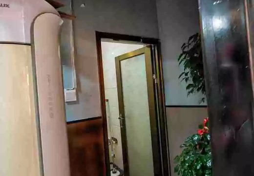 仙游縣鯉城街道城內社區(qū)解放東路1321號的房地產