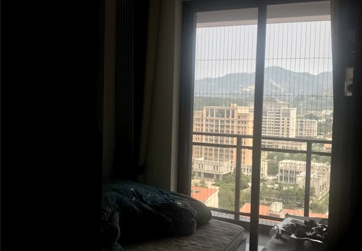 坐落在仙游縣鯉城街道玉井村（正鼎·瀾天）9#1901的房產及相應的土地使用權