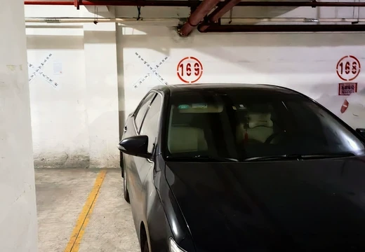 莆田市城廂區(qū)龍橋辦龍橋居委會后山西路84號1#車位169的房地產(chǎn)