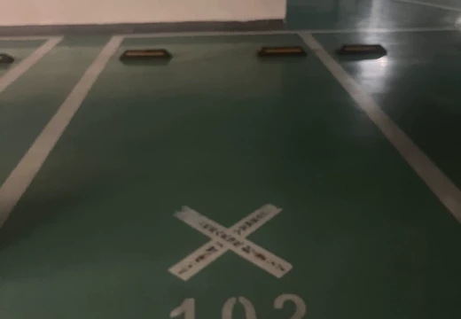 福建省莆田市荔城區(qū)西天尾鎮(zhèn)同心西路1969號(hào)溪白村融信壹號(hào)地下室102室的不動(dòng)產(chǎn)