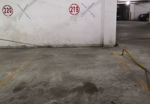 莆田市城廂區(qū)龍橋辦龍橋居委會(huì)后山西路84號(hào)1#車位219的房地產(chǎn)