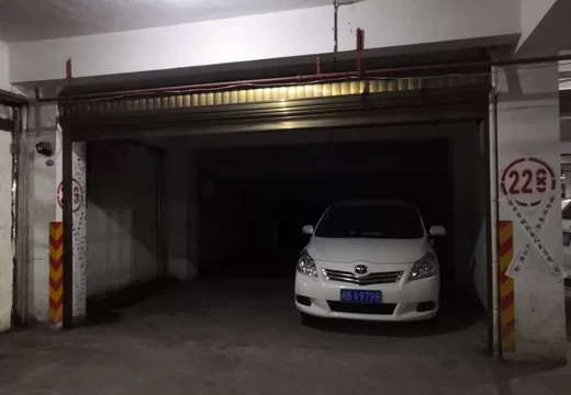 莆田市城廂區(qū)龍橋辦龍橋居委會后山西路84號1#車位229的房地產(chǎn)