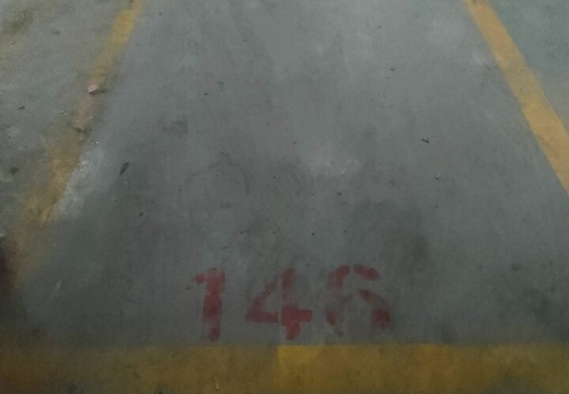 坐落莆田市荔城區(qū)拱辰辦幸福路875號(hào)寶勝小區(qū)C區(qū)2號(hào)樓地下146號(hào)的房地產(chǎn)