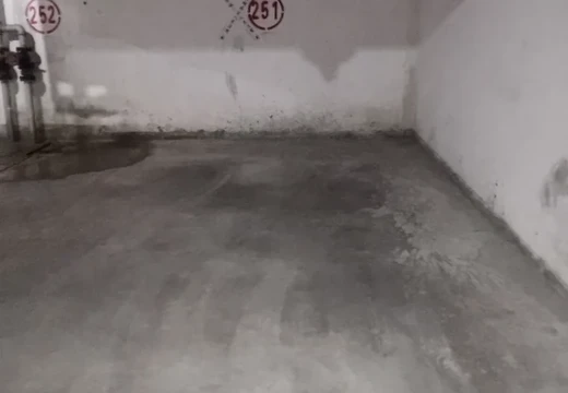 莆田市城廂區(qū)龍橋辦龍橋居委會(huì)后山西路84號1#車位251的房地產(chǎn)