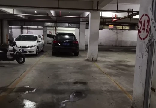 莆田市城廂區(qū)龍橋辦龍橋居委會(huì)后山西路84號(hào)1#車位243的房地產(chǎn)