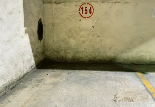 莆田市城廂區(qū)龍橋辦龍橋居委會后山西路84號1#車位154的房地產(chǎn)