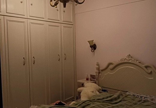 福建省莆田市城廂區(qū)霞林街道荔華東大道2233號祥和山莊1號樓1梯903室房地產(chǎn)