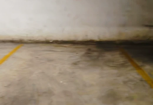 莆田市城廂區(qū)龍橋辦龍橋居委會后山西路84號1#車位146的房地產(chǎn)