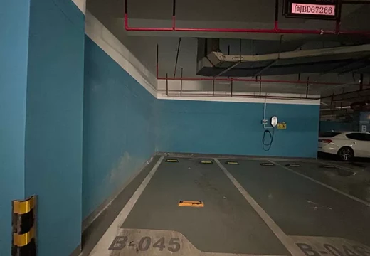 坐落莆田市城廂區(qū)霞林街道團(tuán)結(jié)路1033號(hào)紫闕臺(tái)地下一層45室的房地產(chǎn)