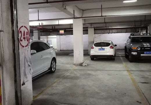 莆田市城廂區(qū)龍橋辦龍橋居委會(huì)后山西路84號(hào)1#車位240的房地產(chǎn)