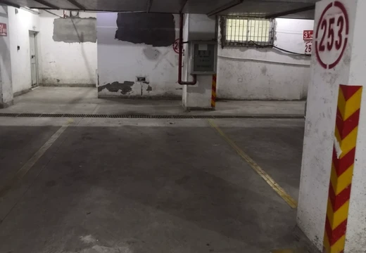 莆田市城廂區(qū)龍橋辦龍橋居委會后山西路84號1#車位253的房地產(chǎn)