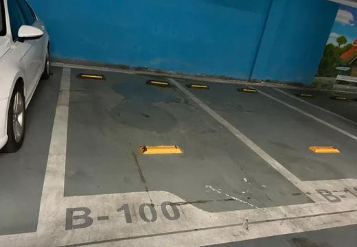 坐落莆田市城廂區(qū)霞林街道團(tuán)結(jié)路1033號(hào)紫闕臺(tái)地下一層100室的房地產(chǎn)