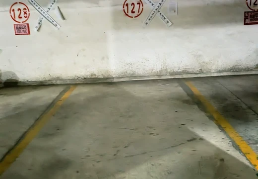 莆田市城廂區(qū)龍橋辦龍橋居委會(huì)后山西路84號(hào)1#車(chē)位127的房地產(chǎn)