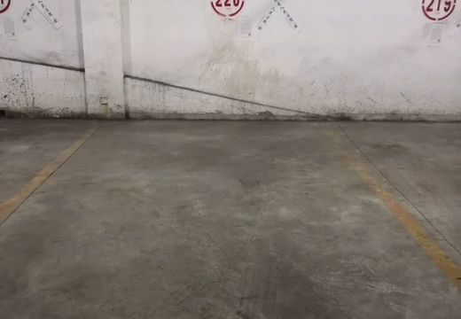 莆田市城廂區(qū)龍橋辦龍橋居委會(huì)后山西路84號(hào)1#車位220的房地產(chǎn)