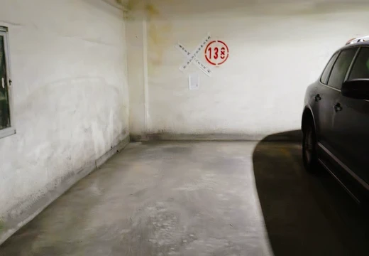 莆田市城廂區(qū)龍橋辦龍橋居委會(huì)后山西路84號(hào)1#車位138的房地產(chǎn)