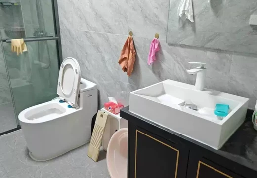 坐落在仙游縣鯉南鎮(zhèn)仙安社區(qū)居委會柳安街1333號10號樓1號、車庫30#的房產(chǎn)及相應(yīng)的土地使用權(quán)[不動產(chǎn)權(quán)證號：20180000706]