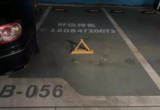 坐落莆田市城廂區(qū)霞林街道團(tuán)結(jié)路1033號(hào)紫闕臺(tái)地下一層56室的房地產(chǎn)