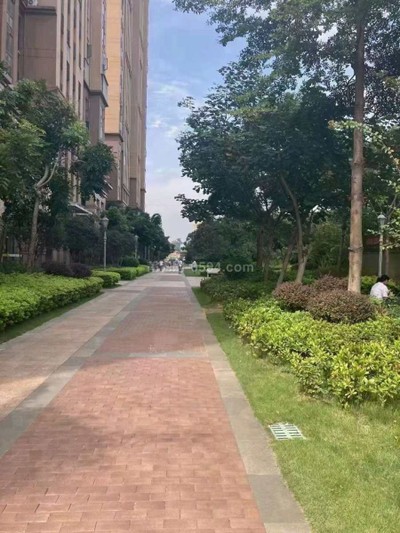 三迪木蘭楓丹 本小區(qū)多套房源出租 有需要可以直接聯(lián)系-莆田租房