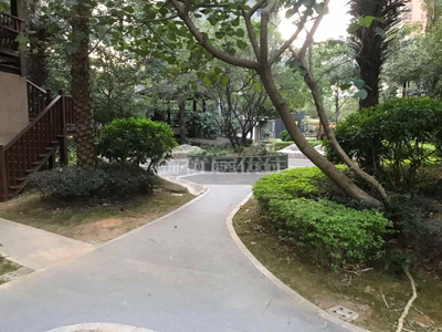 三信秀水華庭B區(qū) 精裝 租金3200元 面積180㎡ 3室2廳3衛(wèi)-莆田租房